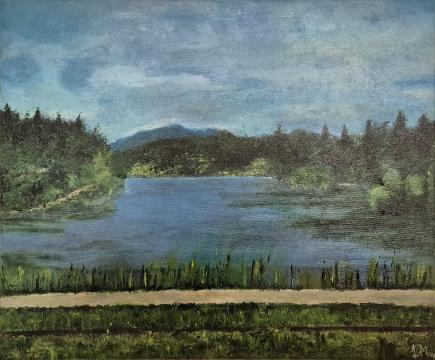 Gradiško jezero (Akril-platno - 50x60) Špela Magister